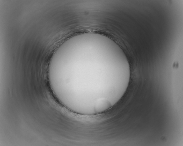 X0000110670030200906121113