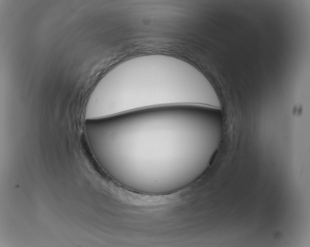 X0000110670031200906121113