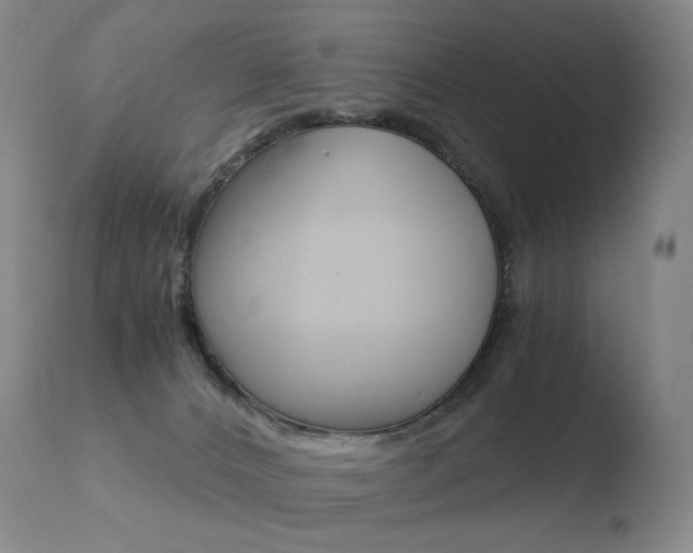 X0000110670032200906121113
