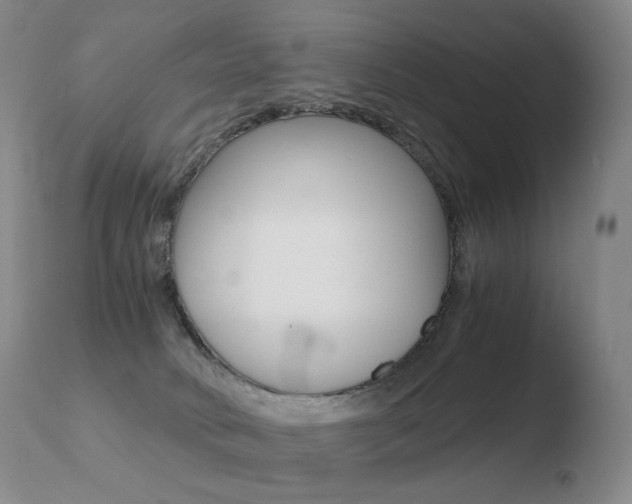 X0000110670034200906121113