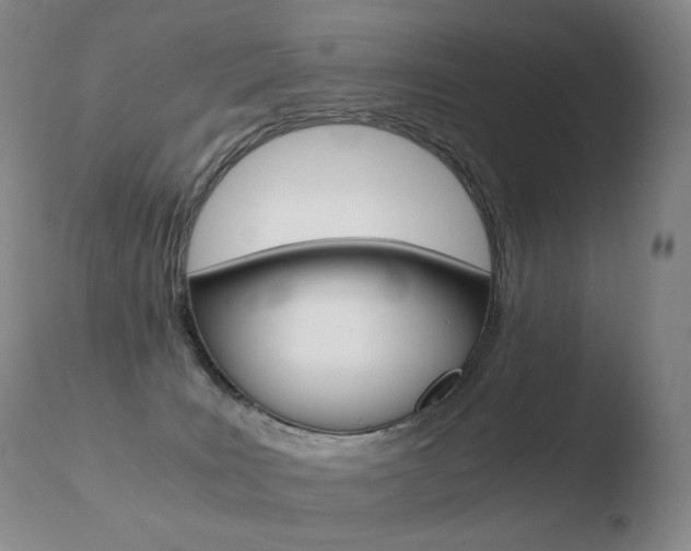X0000110670035200906121113
