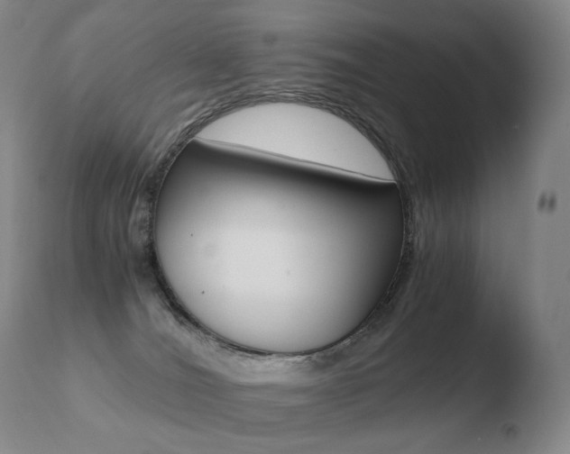 X0000110670036200906121113