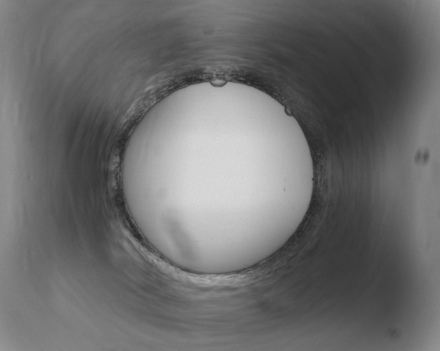X0000110670038200906121113