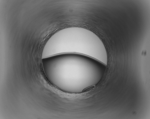 X0000110670039200906121113