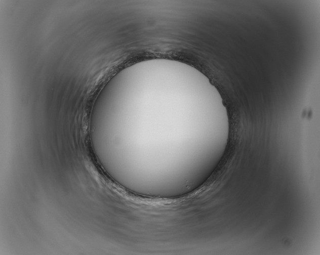 X0000110670040200906121113
