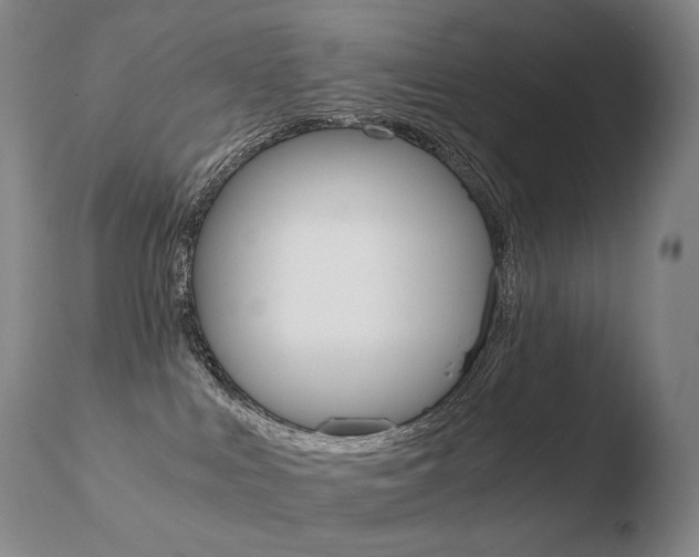 X0000110670043200906121113