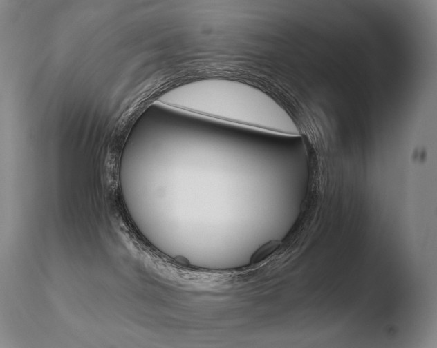 X0000110670044200906121113