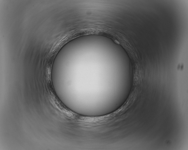 X0000110670045200906121113