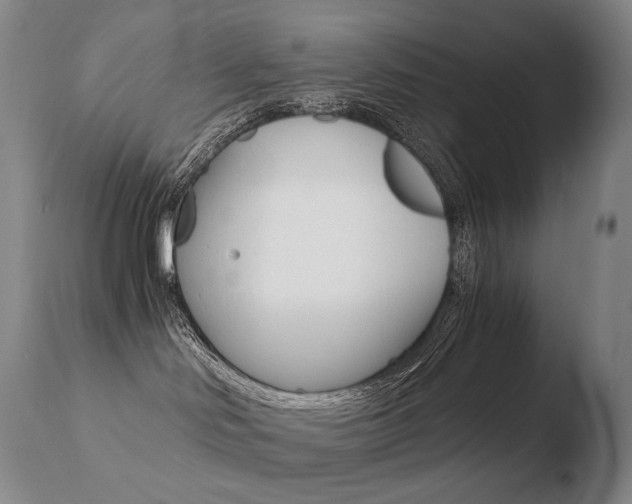 X0000110670046200906121113