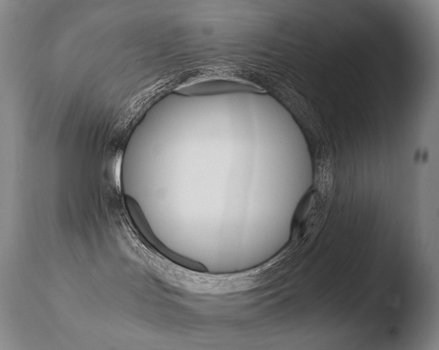 X0000110670047200906121113