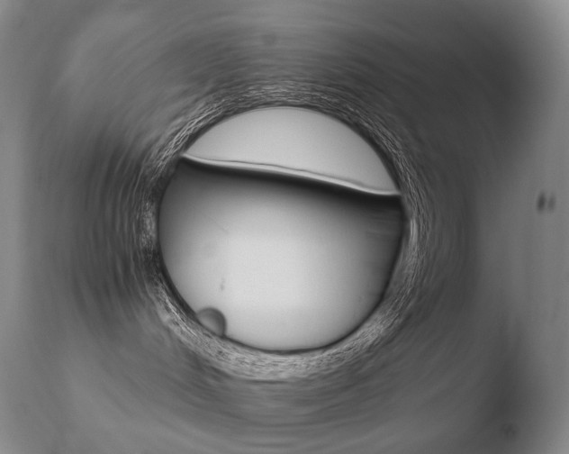 X0000110670048200906121113