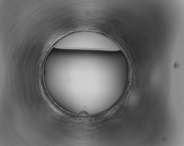 X0000110670049200906121112
