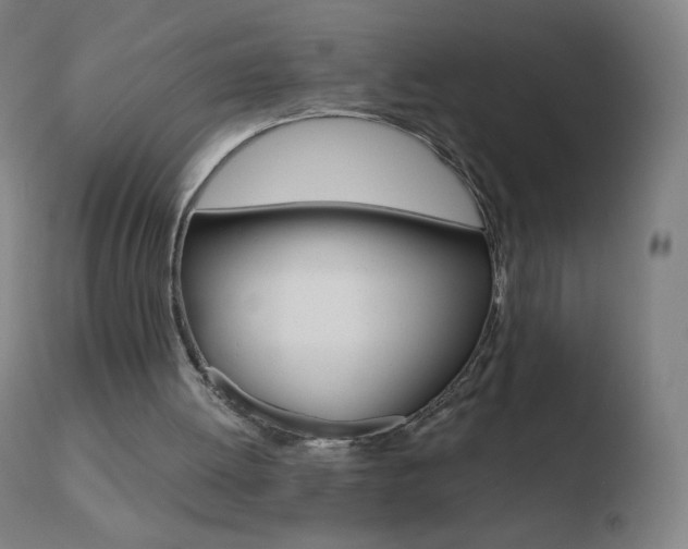 X0000110670052200906121112