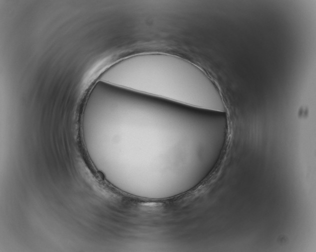 X0000110670053200906121112