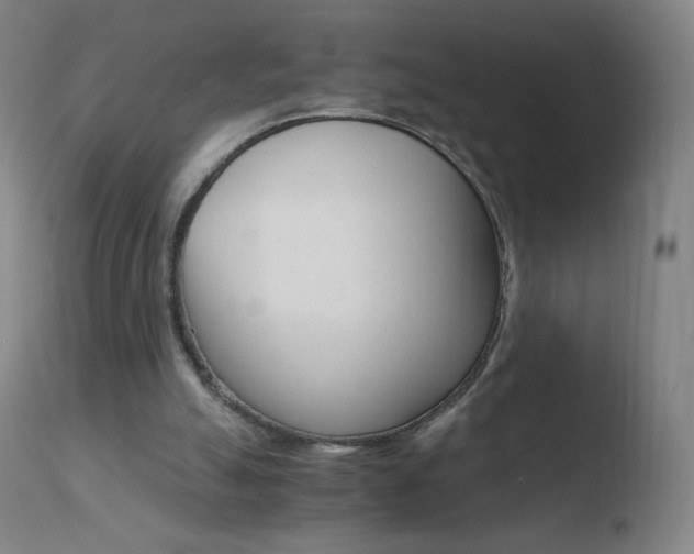 X0000110670055200906121112