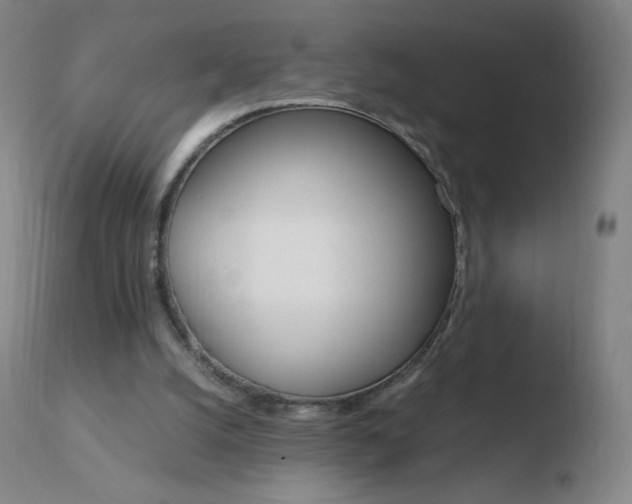 X0000110670056200906121112