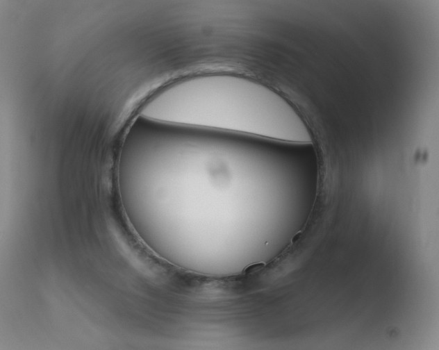 X0000110670064200906121112