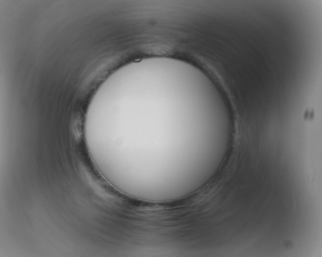 X0000110670069200906121112