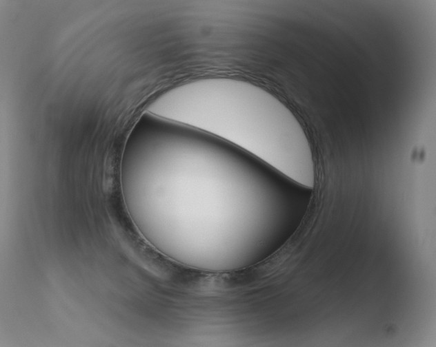 X0000110670080200906121112