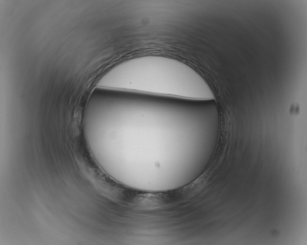 X0000110670082200906121112
