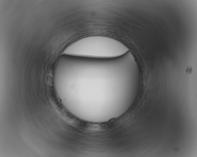 X0000110670083200906121112