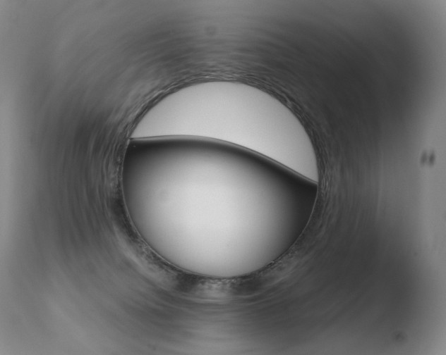 X0000110670084200906121112