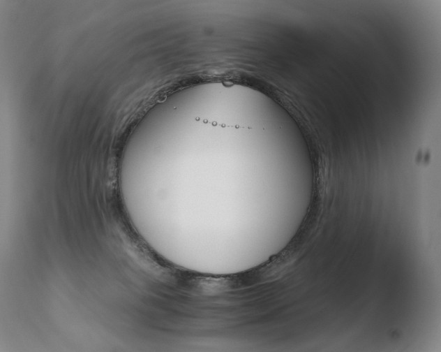X0000110670085200906121112