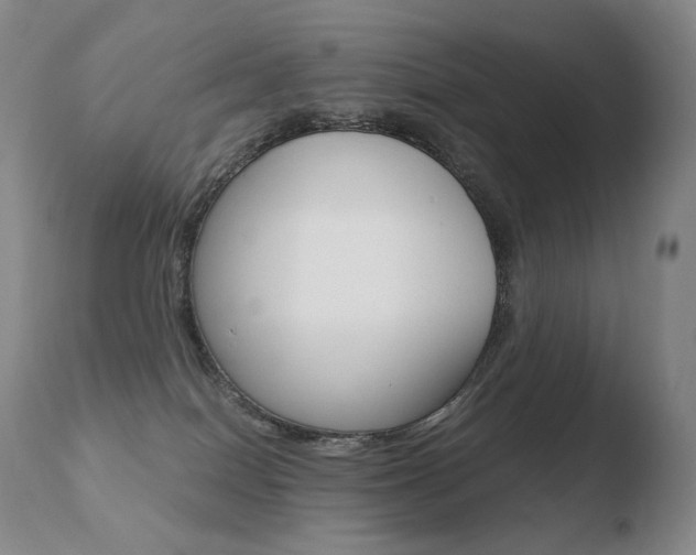 X0000110670086200906121112