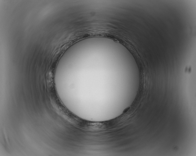 X0000110670087200906121112