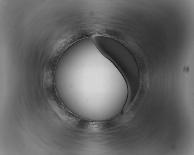 X0000110670088200906121113