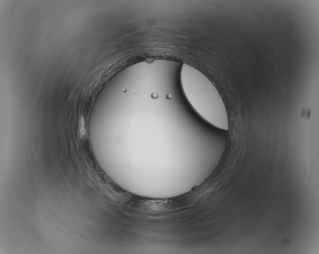 X0000110670089200906121113