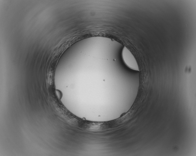X0000110670090200906121113