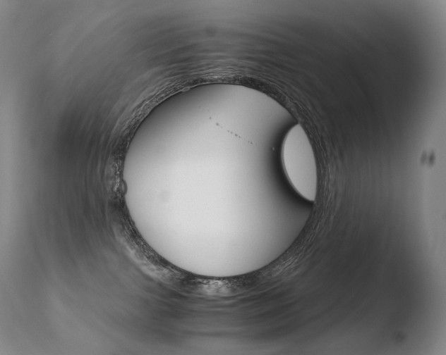 X0000110670091200906121113