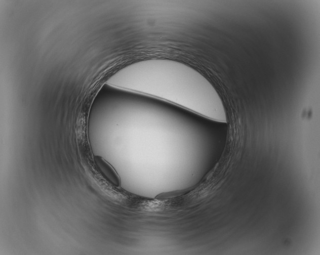 X0000110670092200906121113