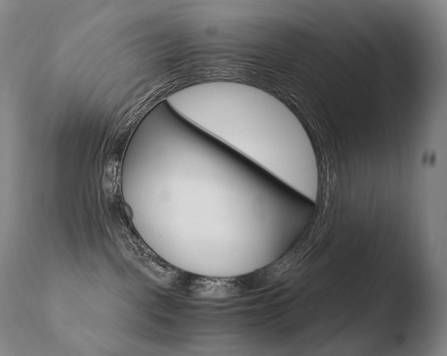 X0000110670093200906121113