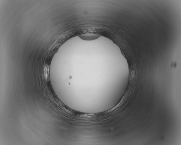 X0000110670094200906121113