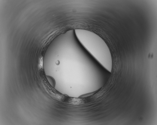 X0000110670095200906121113