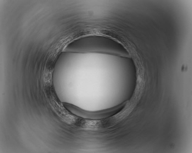 X0000110670096200906121113