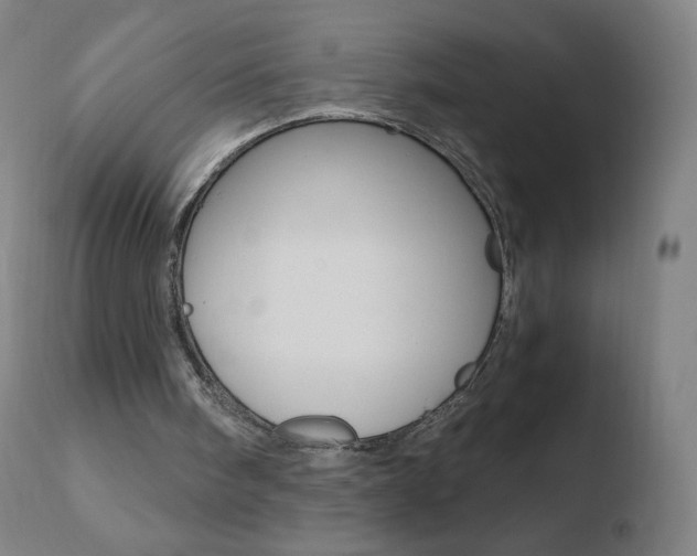 X0000110670098200906121112