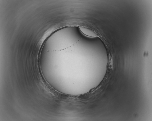 X0000110670099200906121112