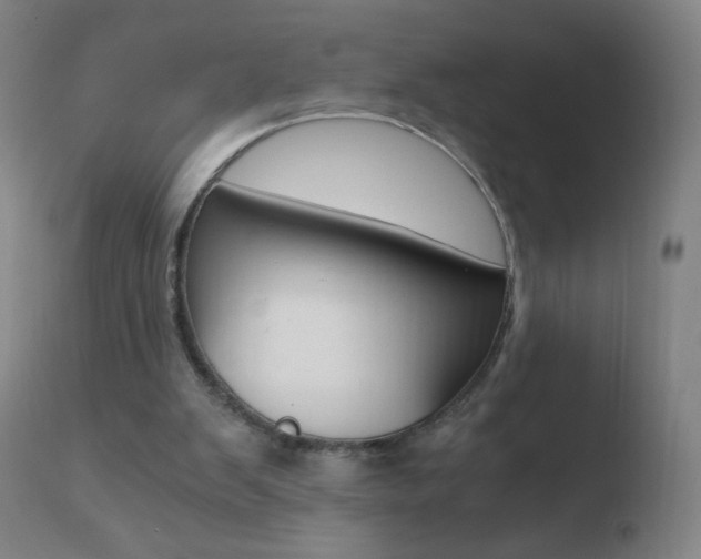 X0000110670103200906121112