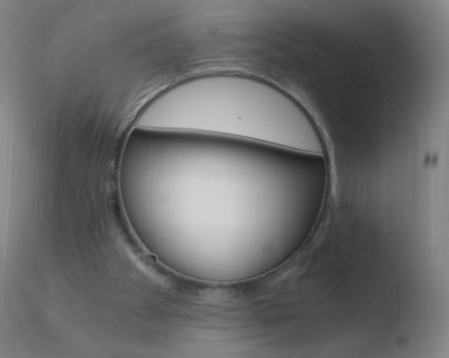 X0000110670105200906121112