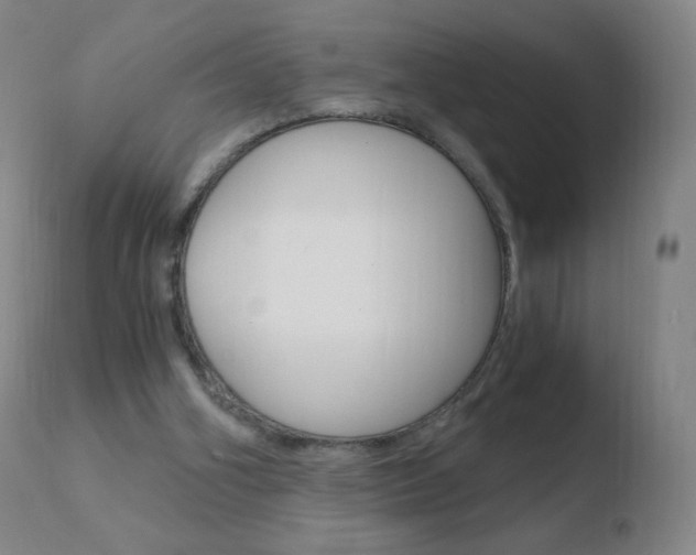 X0000110670106200906121112