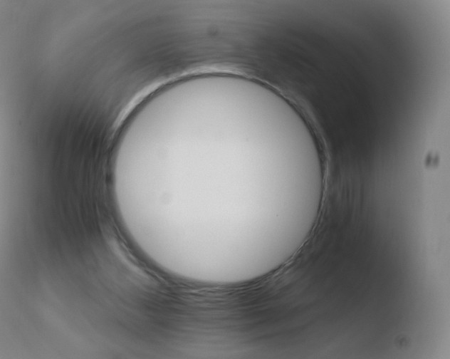 X0000110670108200906121112