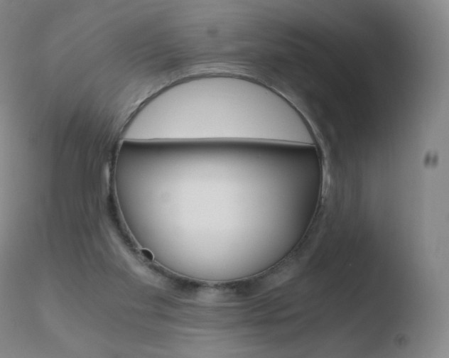X0000110670109200906121112
