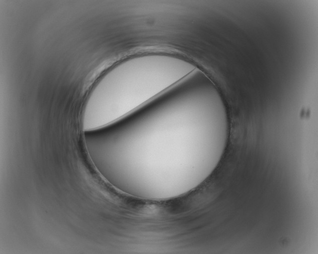 X0000110670111200906121112