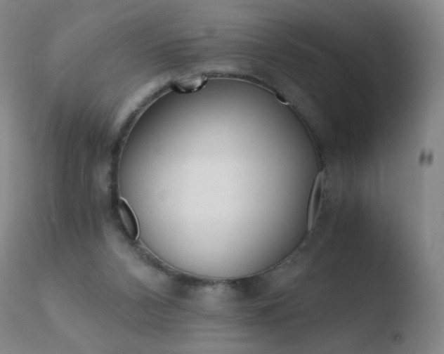 X0000110670112200906121112