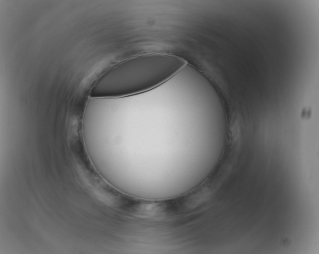 X0000110670117200906121112
