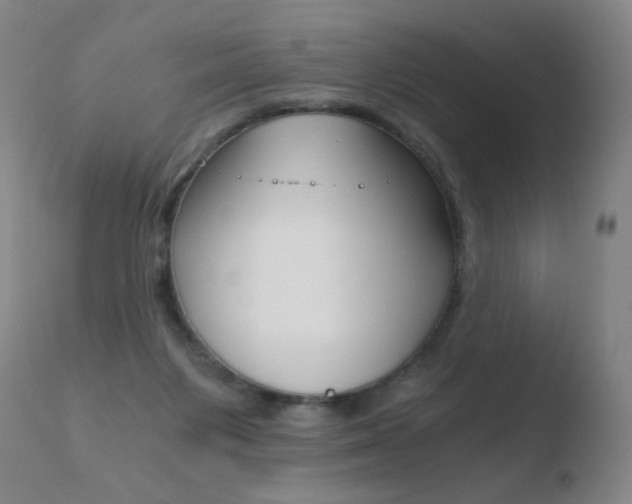 X0000110670119200906121111