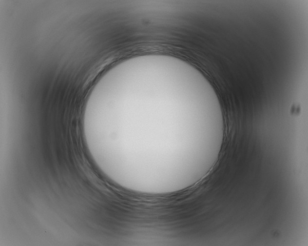 X0000110670120200906121111